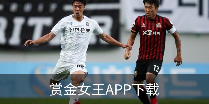 赏金女王APP下载概况